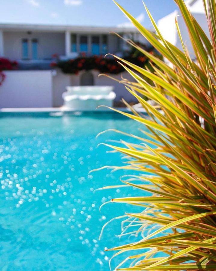 Trade Winds Hotel Dickenson Bay Buitenkant foto