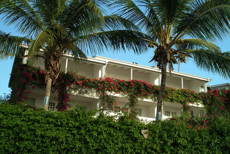 Trade Winds Hotel Dickenson Bay Buitenkant foto