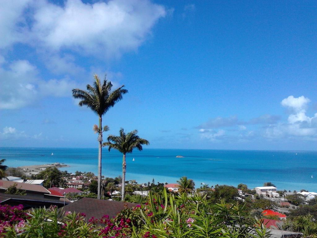 Trade Winds Hotel Dickenson Bay Buitenkant foto