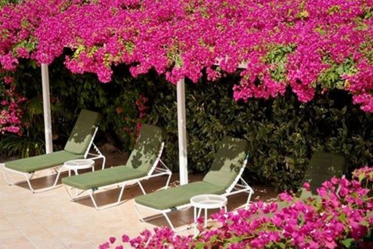 Trade Winds Hotel Dickenson Bay Buitenkant foto