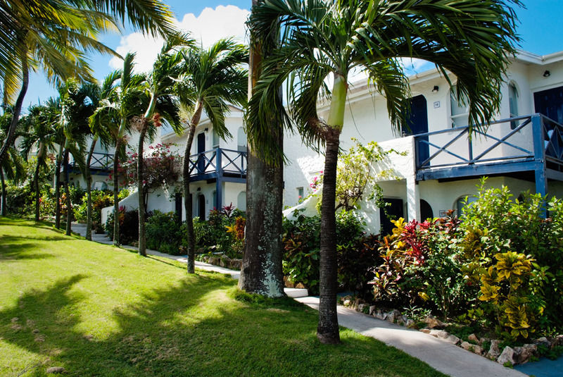 Trade Winds Hotel Dickenson Bay Buitenkant foto