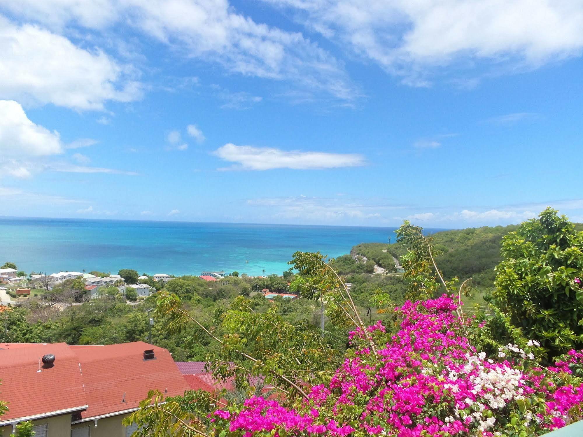 Trade Winds Hotel Dickenson Bay Buitenkant foto